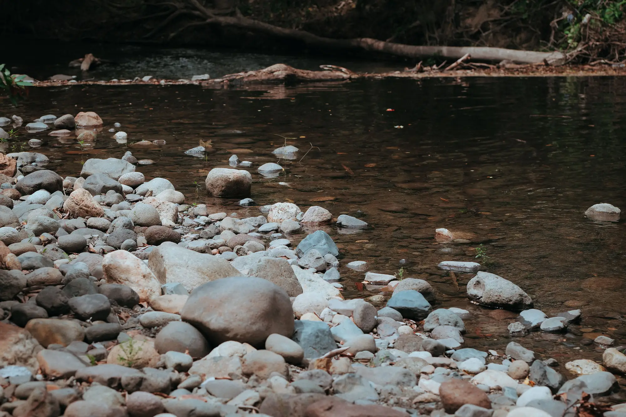 A shallow creek running over a bed of rounded cobbles
