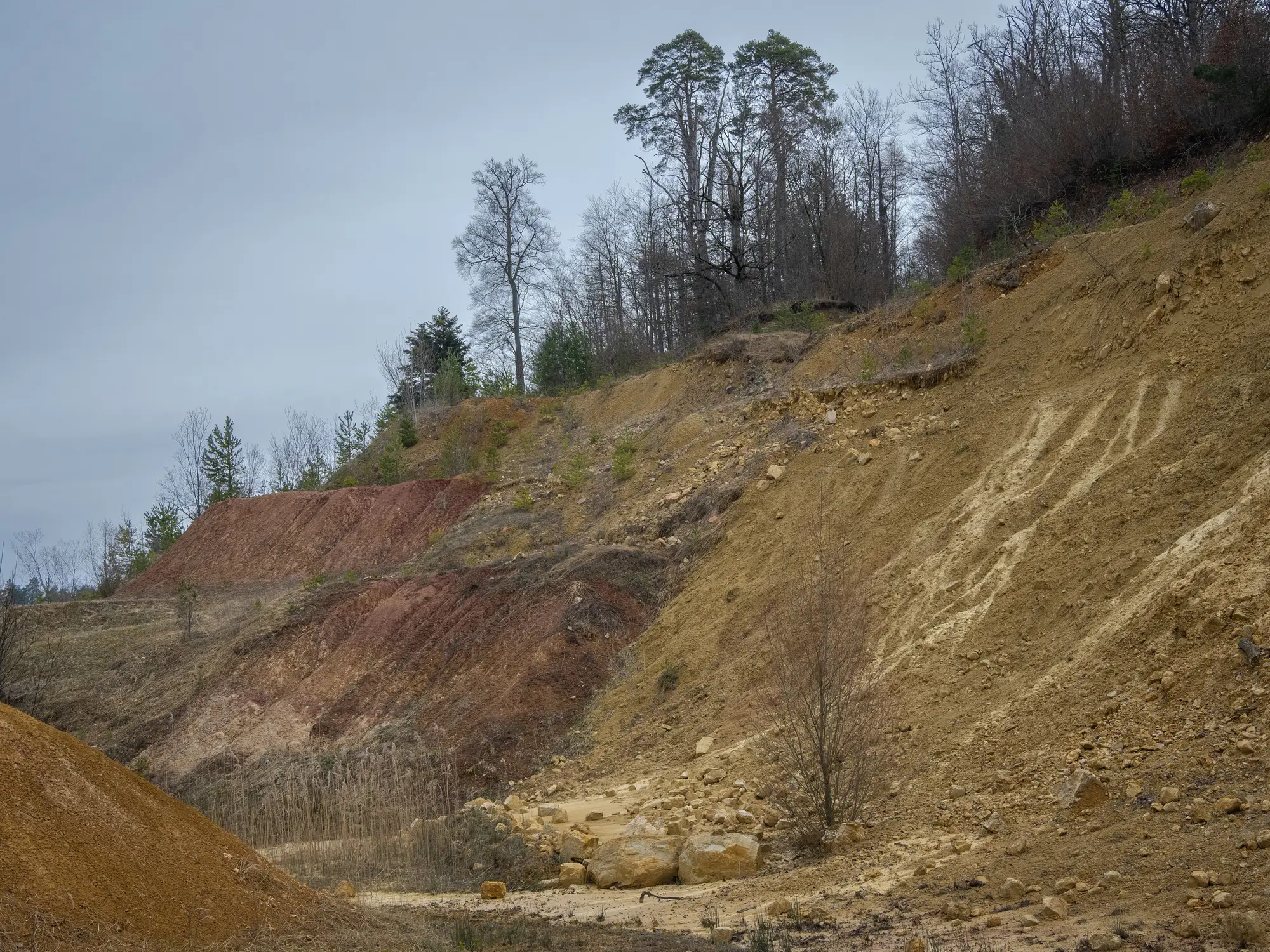 A raw, eroded hillside with exposed soil layers and loose rock below a line of trees